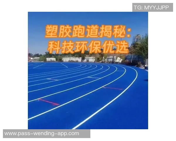 足球场橡胶颗粒的环保特性与运动性能对比分析